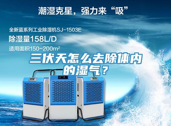 三伏天怎么去除體內(nèi)的濕氣？