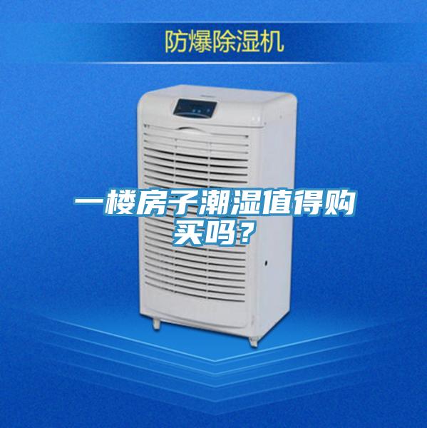 一樓房子潮濕值得購買嗎？