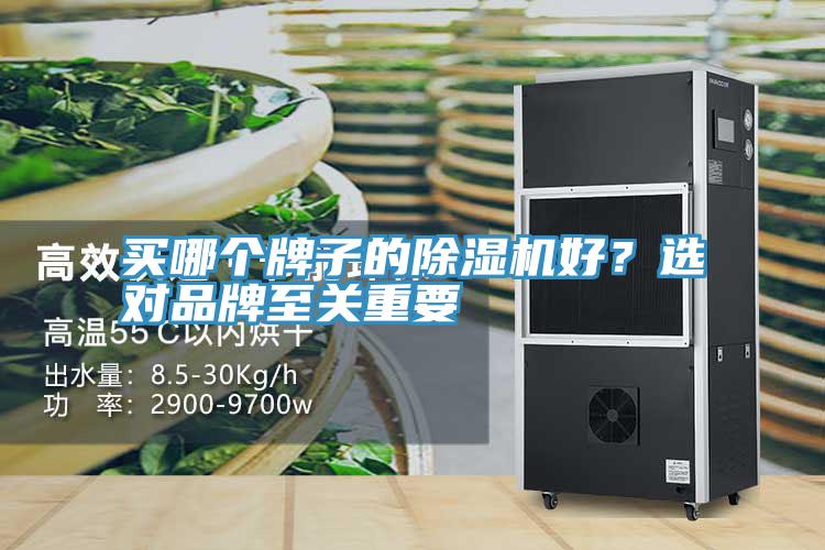 買哪個(gè)牌子的除濕機(jī)好？選對(duì)品牌至關(guān)重要
