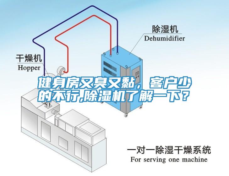 健身房又臭又黏，客戶少的不行,除濕機了解一下？