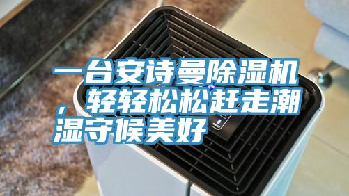 一臺(tái)安詩(shī)曼除濕機(jī)，輕輕松松趕走潮濕守候美好