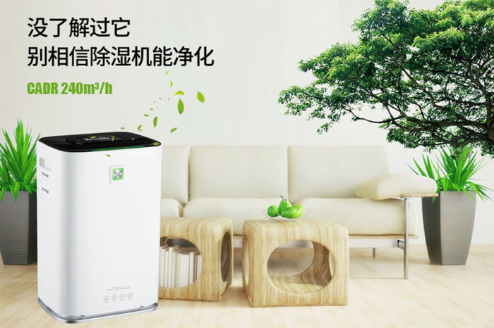 一到回南天狗狗就感冒+皮膚病，怎么辦？