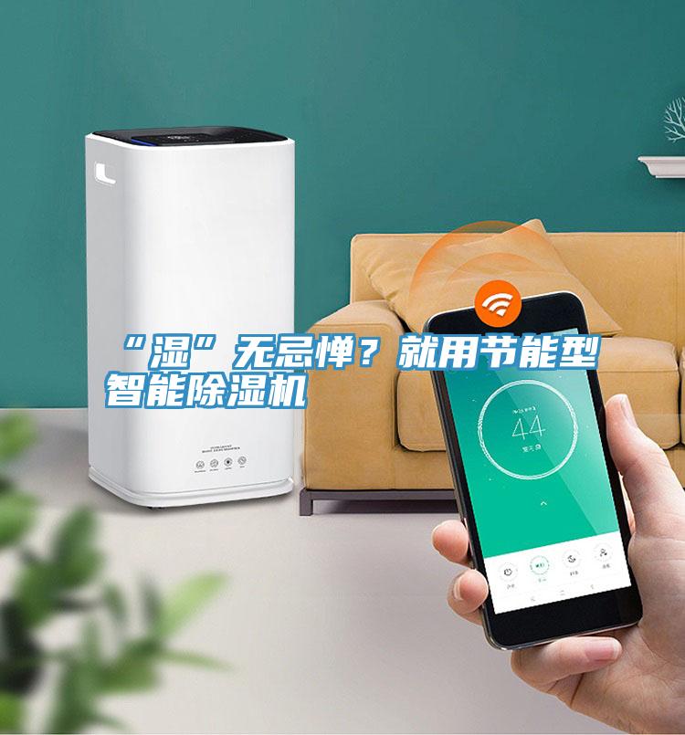 “濕”無(wú)忌憚？就用節(jié)能型智能除濕機(jī)