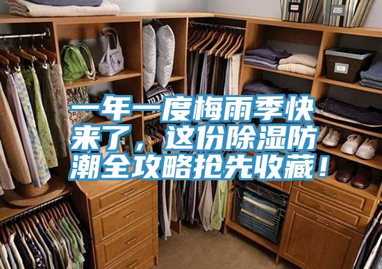 一年一度梅雨季快來了，這份除濕防潮全攻略搶先收藏！