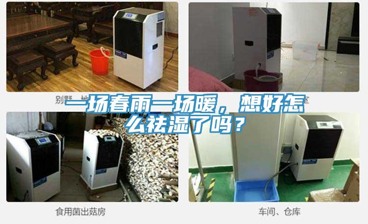 一場春雨一場暖，想好怎么祛濕了嗎？