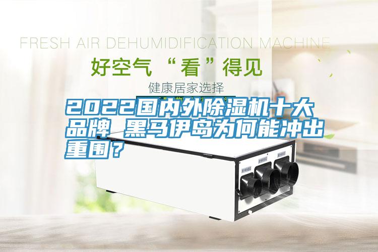 2022國內(nèi)外除濕機(jī)十大品牌 黑馬伊島為何能沖出重圍？
