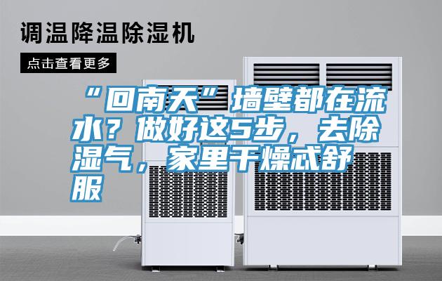 “回南天”墻壁都在流水？做好這5步，去除濕氣，家里干燥忒舒服