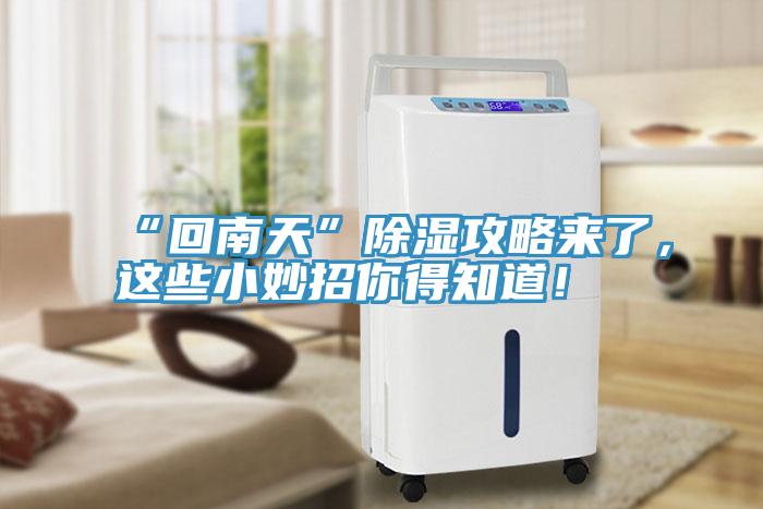 “回南天”除濕攻略來了，這些小妙招你得知道！