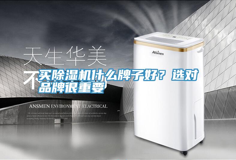 買除濕機(jī)什么牌子好？選對(duì)品牌很重要