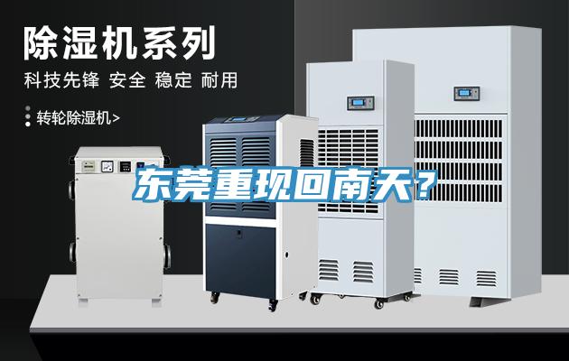 東莞重現(xiàn)回南天？