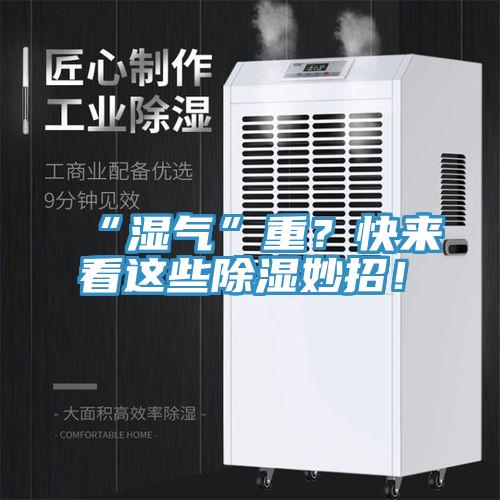“濕氣”重？快來(lái)看這些除濕妙招！