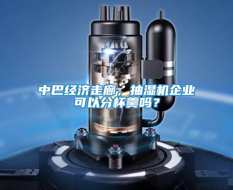 中巴經(jīng)濟(jì)走廊，抽濕機(jī)企業(yè)可以分杯羹嗎？