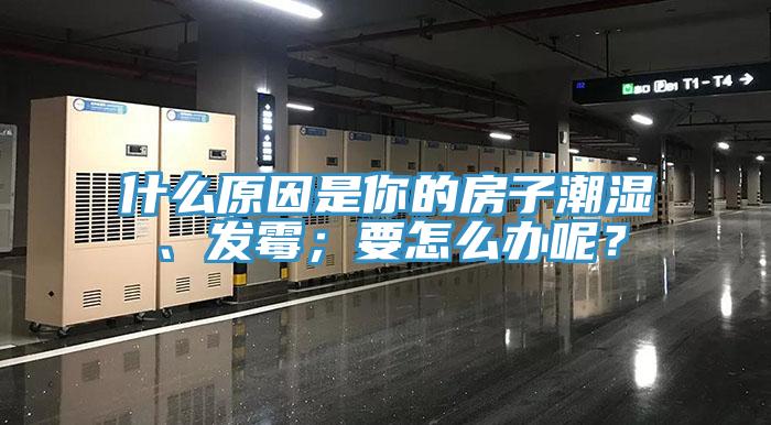 什么原因是你的房子潮濕、發(fā)霉；要怎么辦呢？