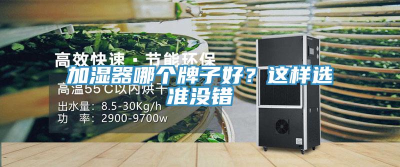 加濕器哪個(gè)牌子好？這樣選準(zhǔn)沒錯(cuò)