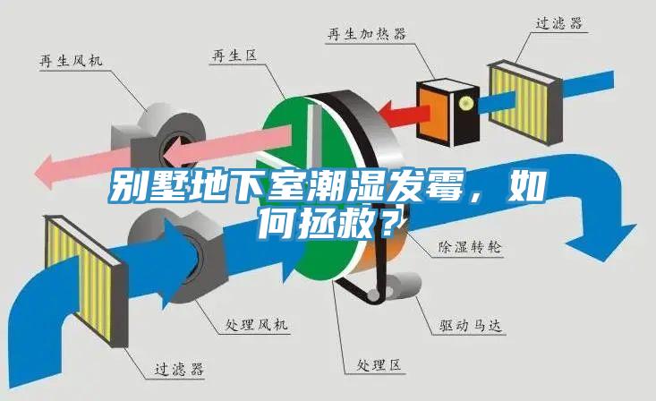 別墅地下室潮濕發(fā)霉，如何拯救？