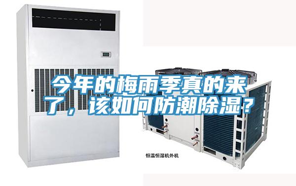 今年的梅雨季真的來(lái)了，該如何防潮除濕？