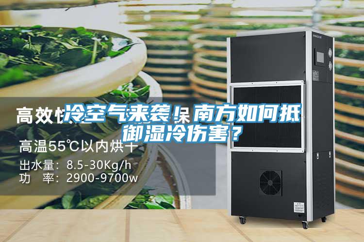冷空氣來襲！南方如何抵御濕冷傷害？