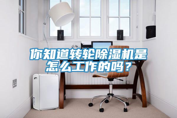 你知道轉(zhuǎn)輪除濕機(jī)是怎么工作的嗎？