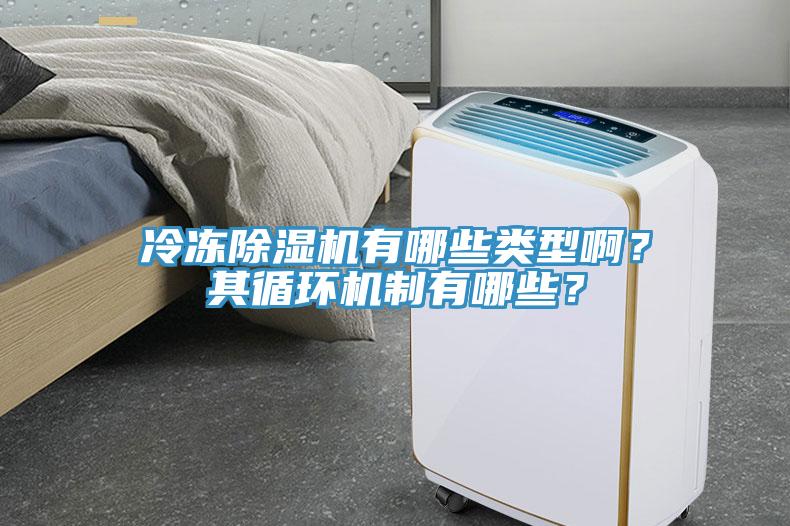 冷凍除濕機(jī)有哪些類型啊？其循環(huán)機(jī)制有哪些？