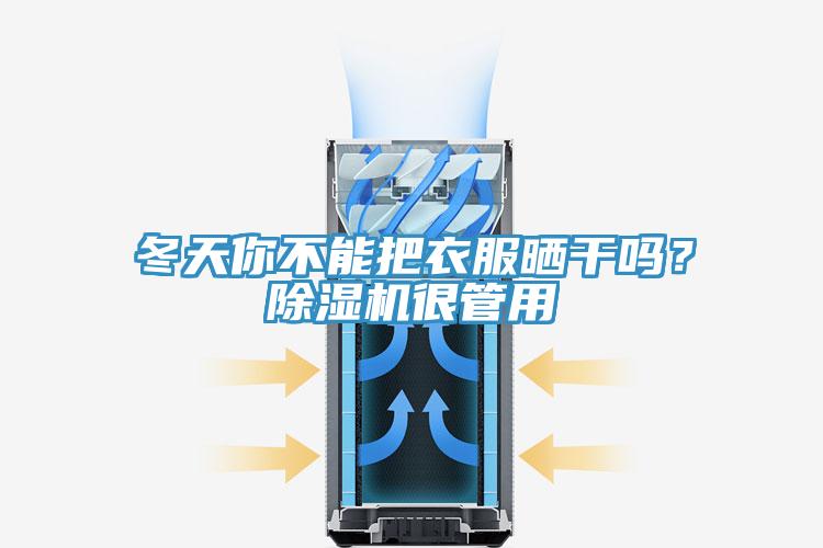 冬天你不能把衣服曬干嗎？除濕機(jī)很管用