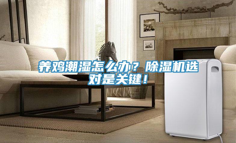 養(yǎng)雞潮濕怎么辦？除濕機(jī)選對(duì)是關(guān)鍵！