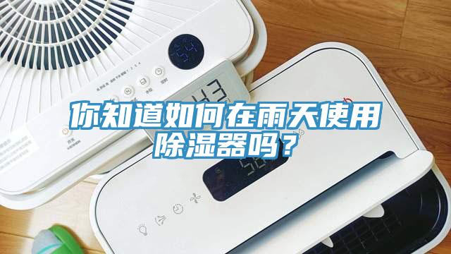 你知道如何在雨天使用除濕器嗎？