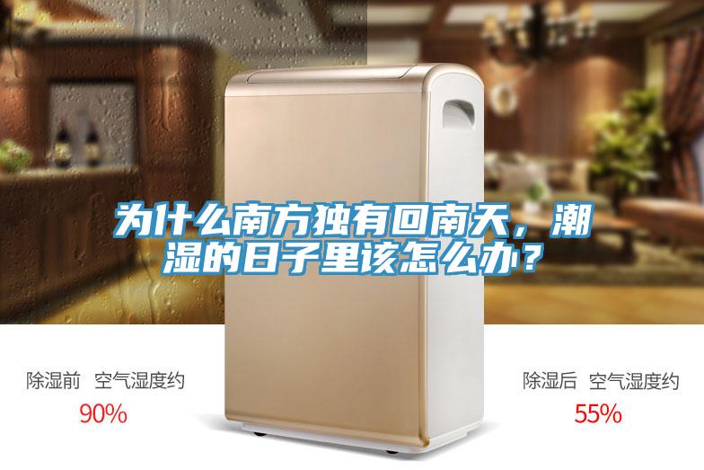 為什么南方獨(dú)有回南天，潮濕的日子里該怎么辦？