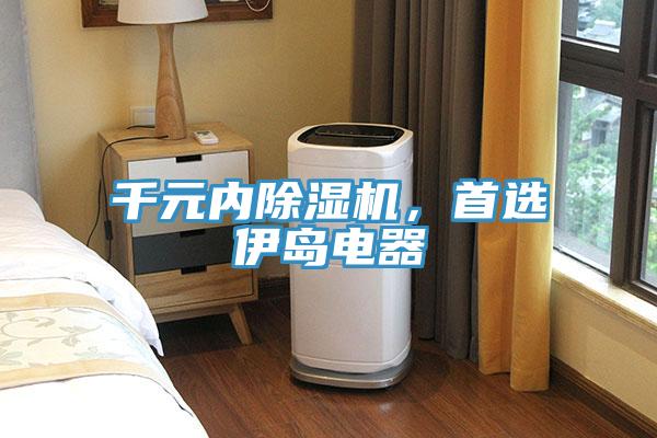 千元內(nèi)除濕機(jī)，首選伊島電器