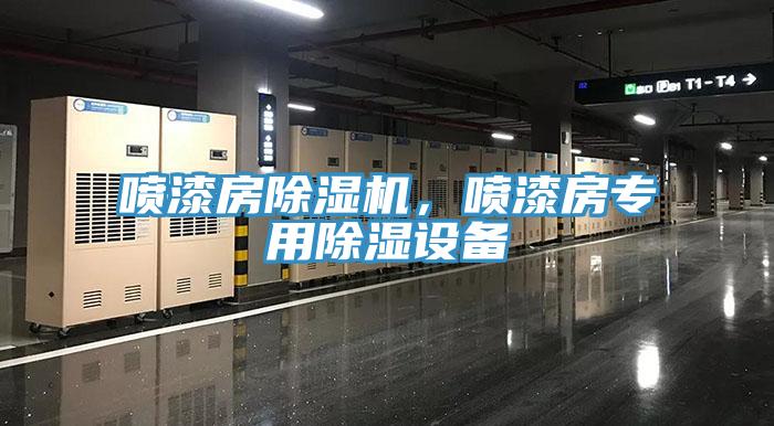 噴漆房除濕機(jī)，噴漆房專用除濕設(shè)備