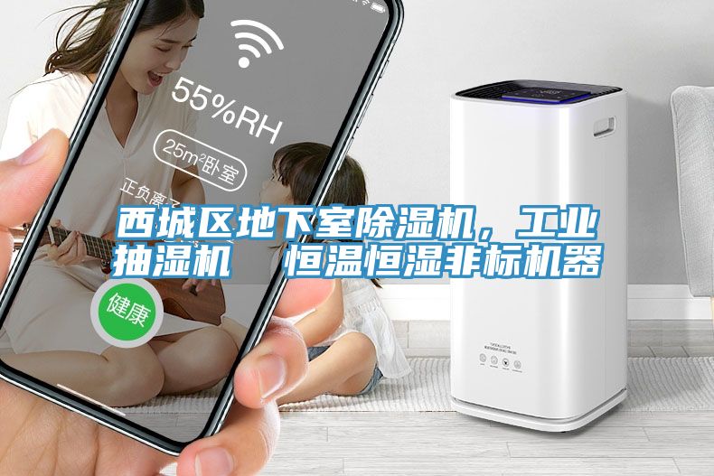 西城區(qū)地下室除濕機(jī)，工業(yè)抽濕機(jī)  恒溫恒濕非標(biāo)機(jī)器