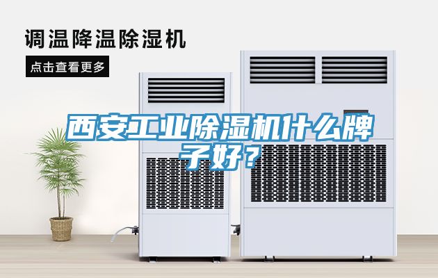 西安工業(yè)除濕機(jī)什么牌子好？