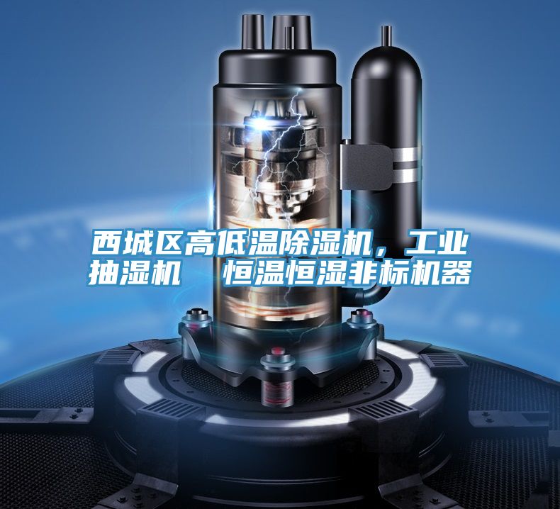 西城區(qū)高低溫除濕機(jī)，工業(yè)抽濕機(jī)  恒溫恒濕非標(biāo)機(jī)器