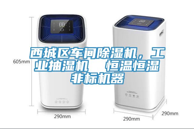 西城區(qū)車(chē)間除濕機(jī)，工業(yè)抽濕機(jī)  恒溫恒濕非標(biāo)機(jī)器