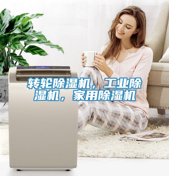 轉輪除濕機，工業(yè)除濕機，家用除濕機