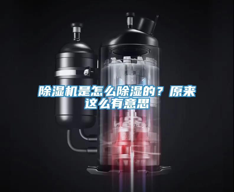 除濕機(jī)是怎么除濕的？原來(lái)這么有意思