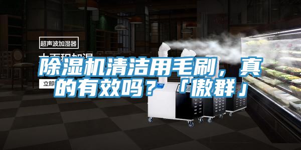 除濕機(jī)清潔用毛刷，真的有效嗎？「傲群」