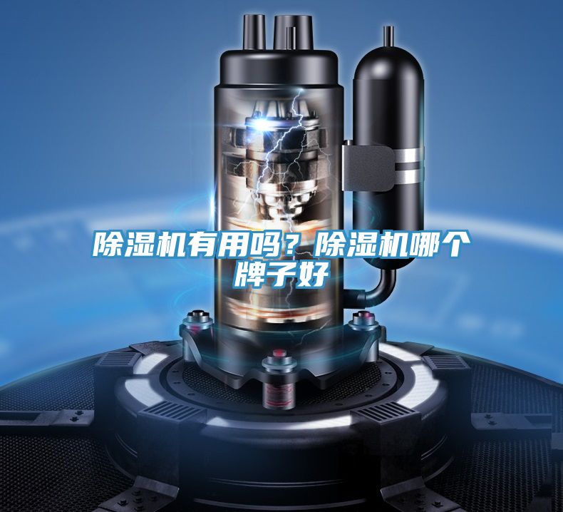 除濕機有用嗎？除濕機哪個牌子好