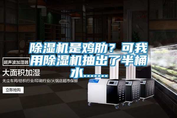 除濕機(jī)是雞肋？可我用除濕機(jī)抽出了半桶水.......