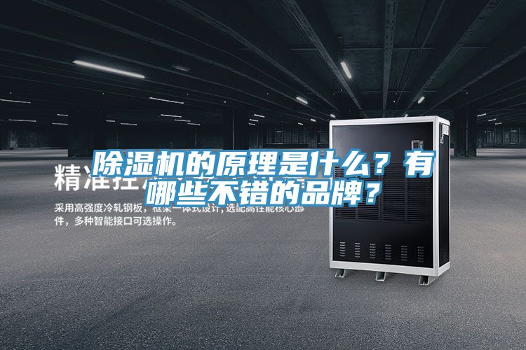 除濕機的原理是什么？有哪些不錯的品牌？