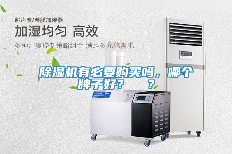 除濕機有必要購買嗎，哪個牌子好？  ？