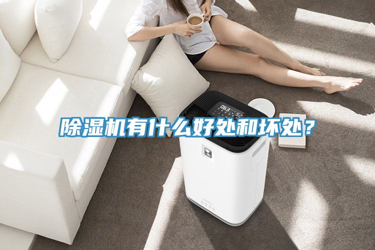 除濕機(jī)有什么好處和壞處？