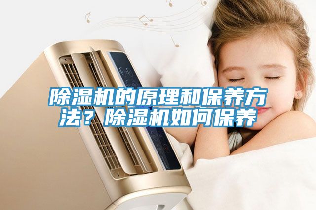 除濕機的原理和保養(yǎng)方法？除濕機如何保養(yǎng)
