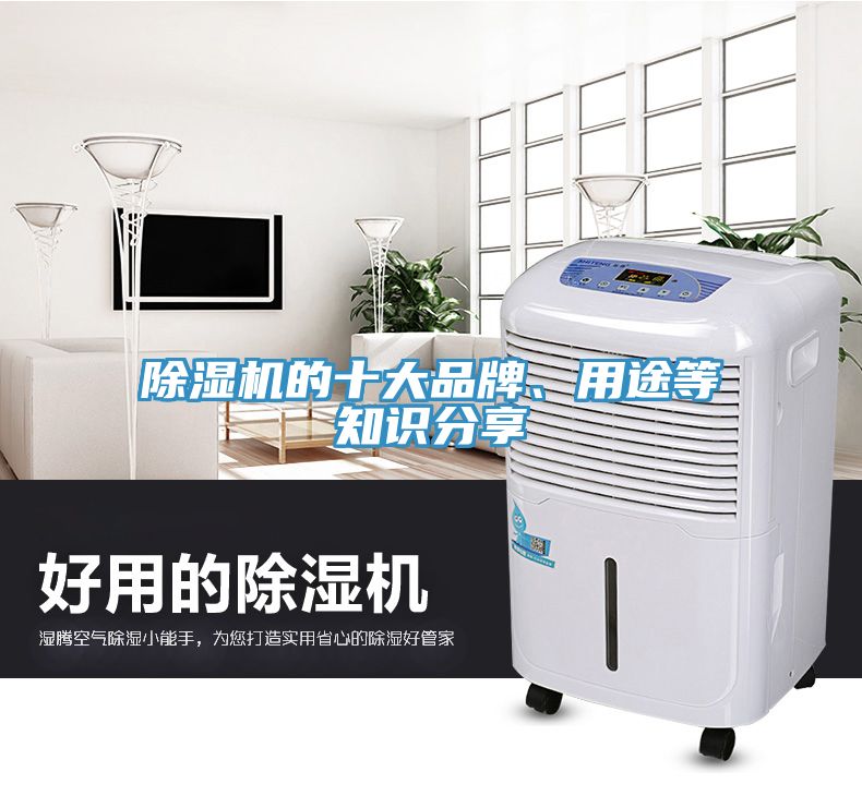 除濕機(jī)的十大品牌、用途等知識(shí)分享