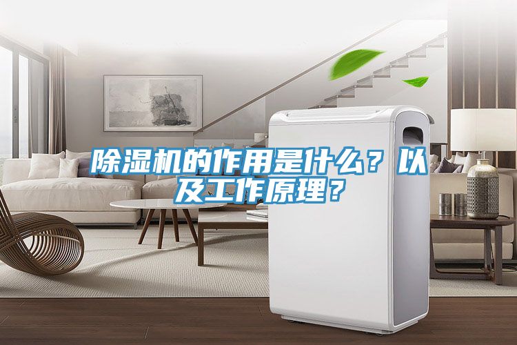 除濕機(jī)的作用是什么？以及工作原理？