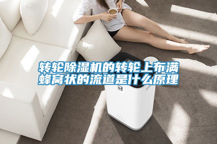 轉(zhuǎn)輪除濕機(jī)的轉(zhuǎn)輪上布滿(mǎn)蜂窩狀的流道是什么原理