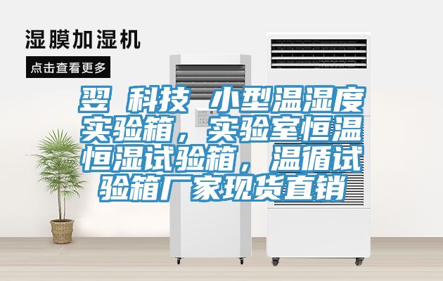 翌昇科技 小型溫濕度實(shí)驗(yàn)箱，實(shí)驗(yàn)室恒溫恒濕試驗(yàn)箱，溫循試驗(yàn)箱廠家現(xiàn)貨直銷