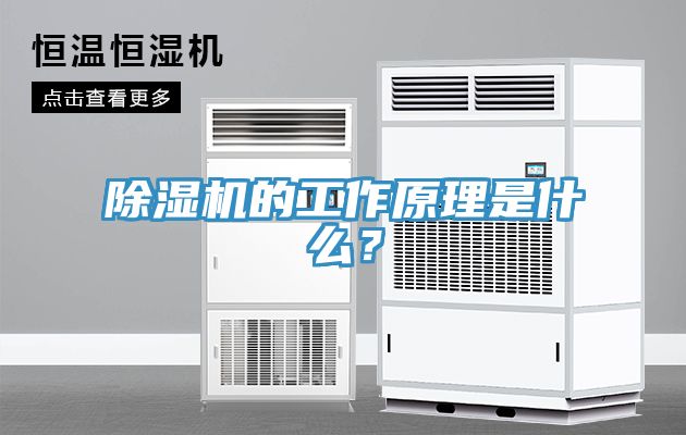 除濕機的工作原理是什么？