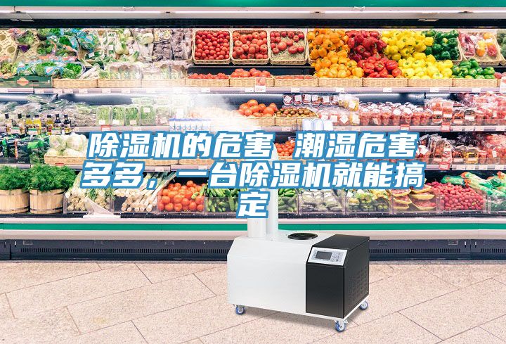 除濕機(jī)的危害 潮濕危害多多，一臺(tái)除濕機(jī)就能搞定