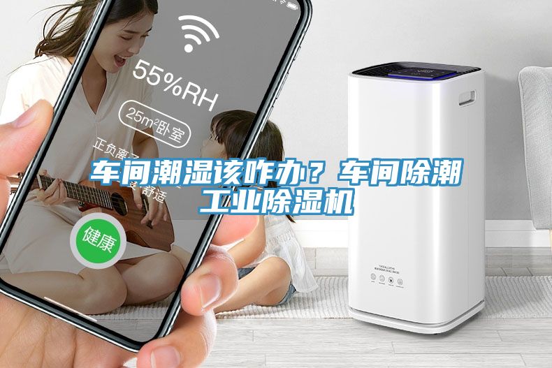 車間潮濕該咋辦？車間除潮工業(yè)除濕機(jī)