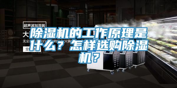 除濕機的工作原理是什么？怎樣選購除濕機？